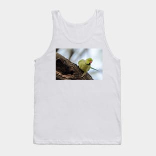 Rose-ringed Parakeet 04 Tank Top